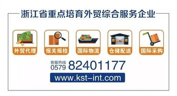 金士敦供应链 一站式因私出入境及报关服务解决方案